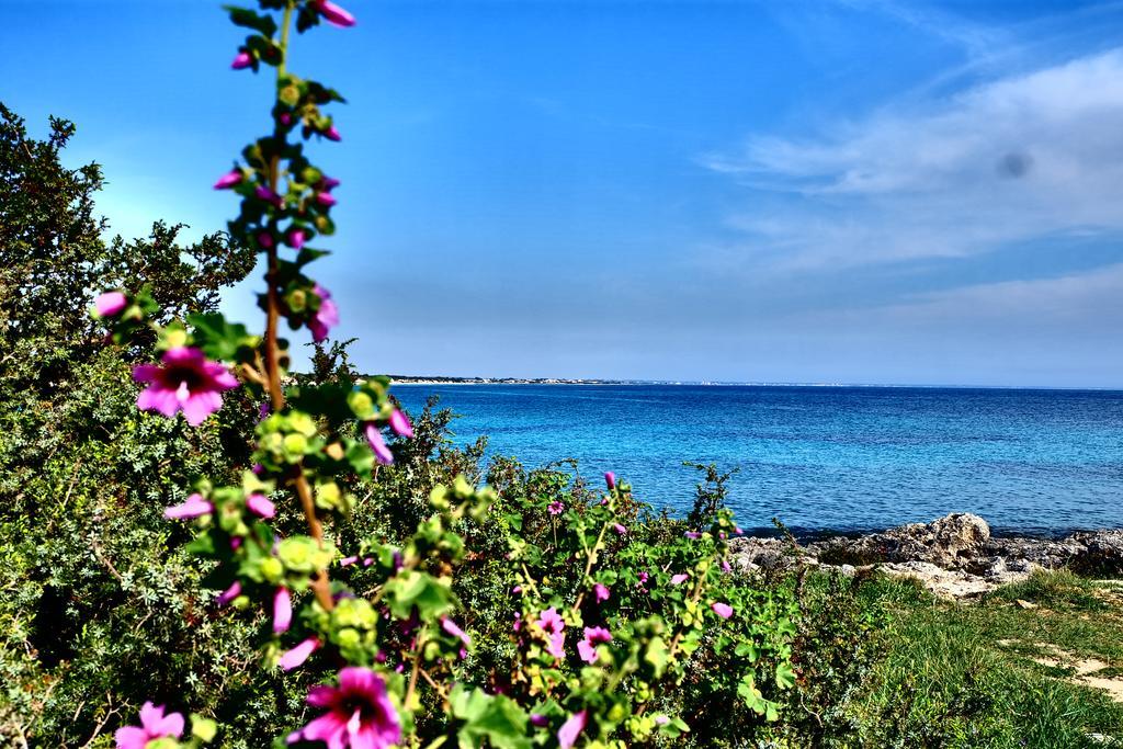 Oasi San Pio Apartment Porto Cesareo Exterior photo